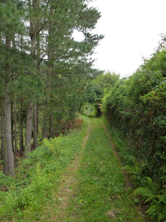 Viviendas Rurales Aldea De Dosamantes Pesaguero-La Parte Eksteriør bilde